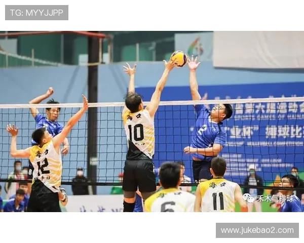 南京排球队实力分析与未来发展潜力的深入探讨